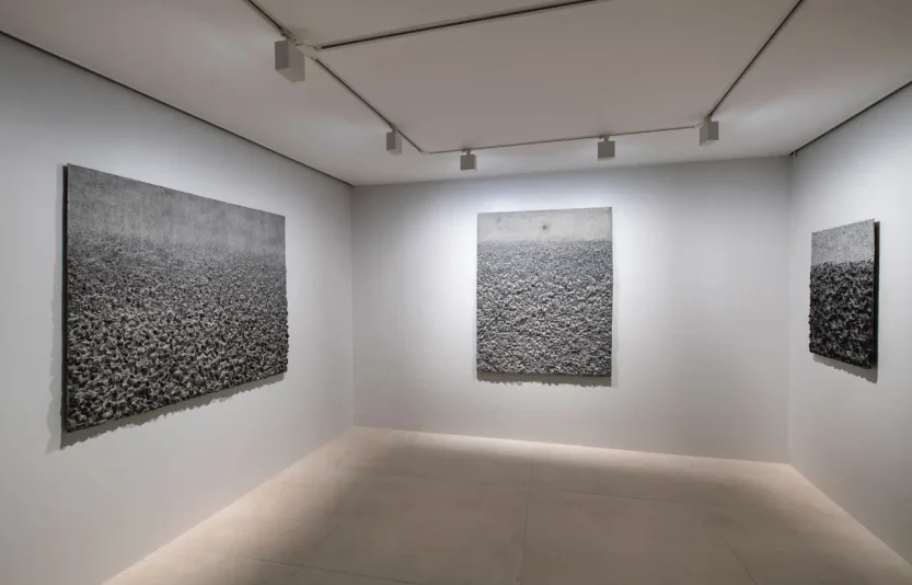 10.projet-anarchy-galerie-claude-bernard.webp