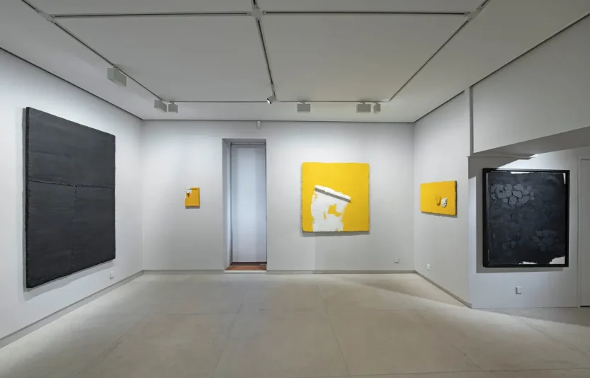11.projet-anarchy-galerie-claude-bernard.webp