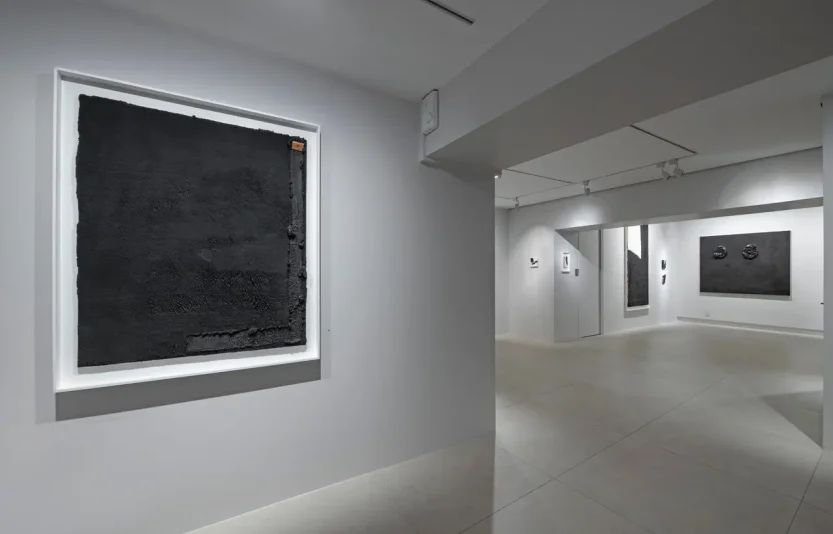 13.projet-anarchy-galerie-claude-bernard.webp