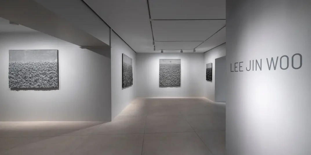 14.projet-anarchy-galerie-claude-bernard.webp