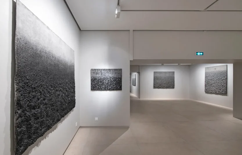 15.projet-anarchy-galerie-claude-bernard.webp