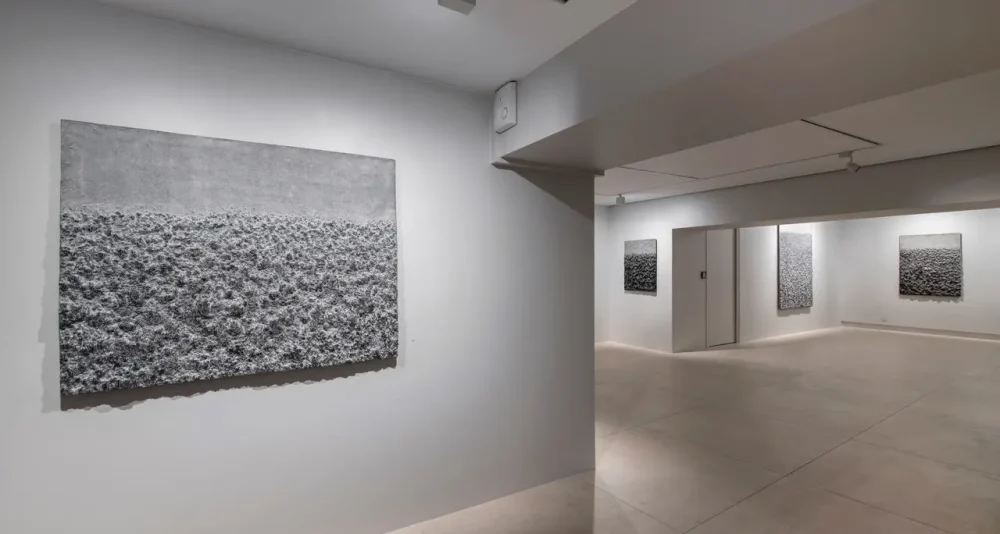 2.projet-anarchy-galerie-claude-bernard.webp