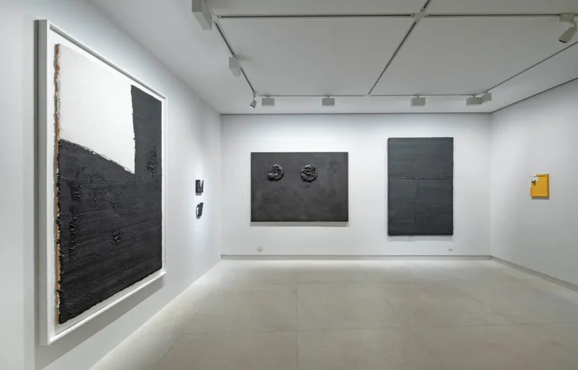 4.projet-anarchy-galerie-claude-bernard.webp