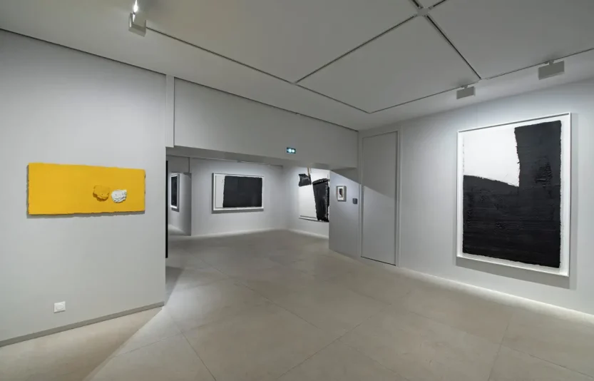 5.projet-anarchy-galerie-claude-bernard.webp