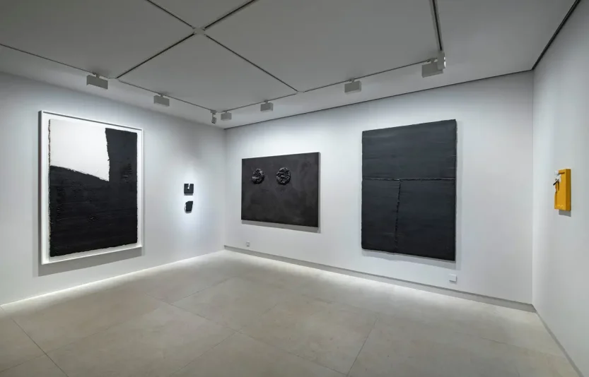 7.projet-anarchy-galerie-claude-bernard.webp