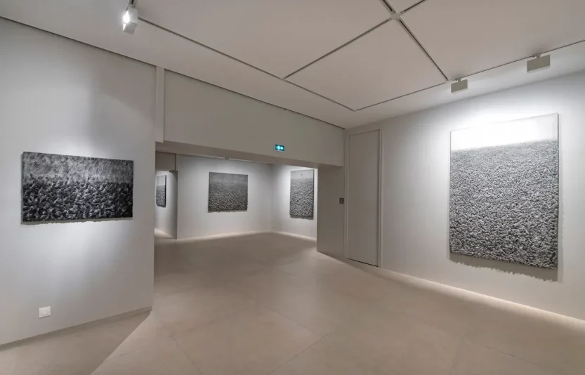 8.projet-anarchy-galerie-claude-bernard.webp