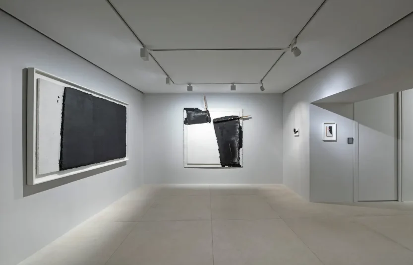 9.projet-anarchy-galerie-claude-bernard.webp